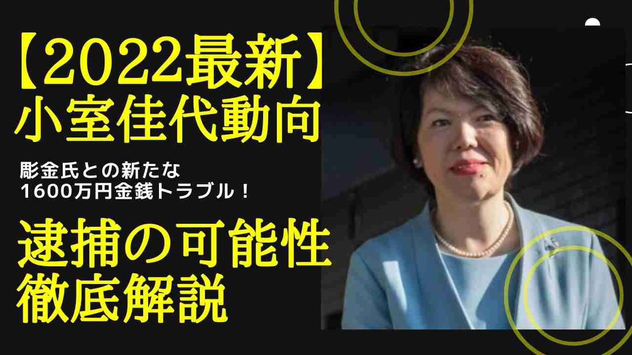 22最新 小室佳代動向と時系列 収入なく彫金師に1600万円恫喝 逮捕可能性も解説 Nts Stage