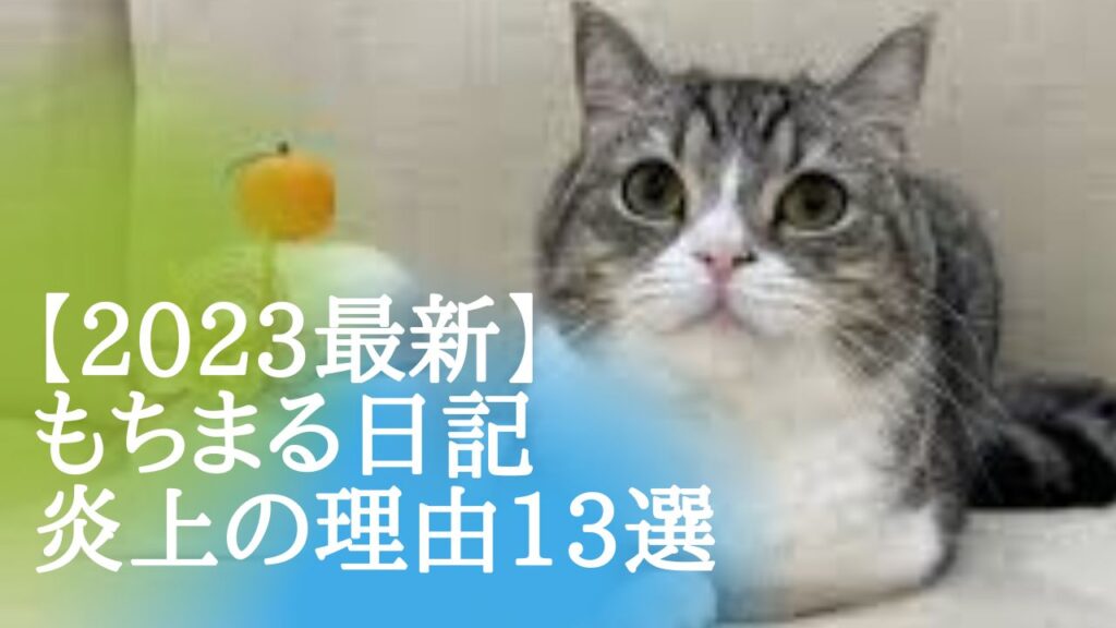 【2023年】もちまる日記炎上理由13選！今度は新しく子猫を迎える